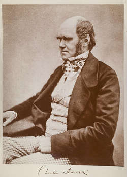 Karol Darwin w wieku 45 lat