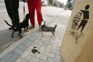 Akcja edukacyjna straży miejskiej w sprawie psich kup