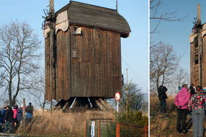 Koźlak w Drewnicy. Ostatni taki wiatrak na Żuławach