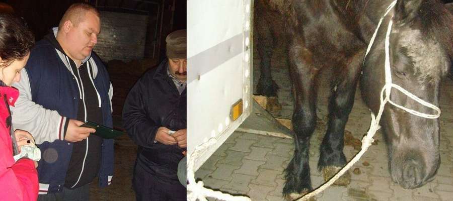 Koński Targ w Skaryszewie to miejsce, gdzie zwierzętom dzieje się prawdziwa krzywda. Na zdjęciu z lewej Krzysztof Ruczyński z Iławy, który był jedną z osób ekipy Patrolu