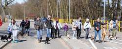 Spacer z psem - wspólna akcja schroniska i Nadleśnictwa Iława