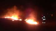 Kolejny weekend z ogniem w gminie Orzysz. Tym razem płonęły trawy 