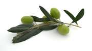 Czy oliwa z oliwek wystarczy?