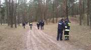 Powiat: Zaginioną nastolatkę znaleziono nieprzytomną w lesie