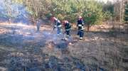 Strażacy ponad dwie godziny walczyli z pożarem trawy przy Mazurskim 