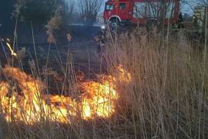 W gminie Orzysz znów się paliło. Płonęły trawy