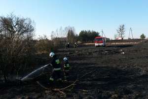 Groźny pożar na nieużytkach za osiedlem Lubawskim w Iławie