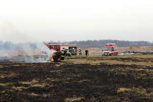 Spłonęło kilkanaście hektarów nieużytków. Pożar w Cielętniku 