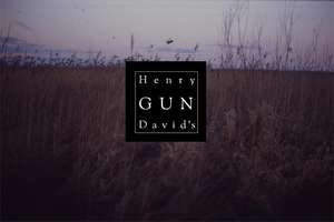 Koncert Henry David's GUN