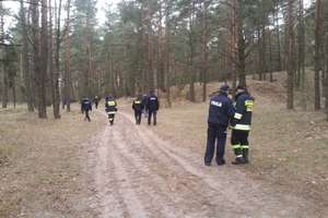 Powiat: Zaginioną nastolatkę znaleziono nieprzytomną w lesie