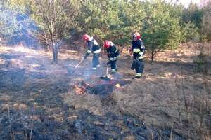Strażacy ponad dwie godziny walczyli z pożarem trawy przy Mazurskim 