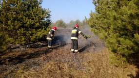 Wczoraj przy Osiedlu Mazurskim strażacy gasili pożar nieużytków na ponad 26 hektarach