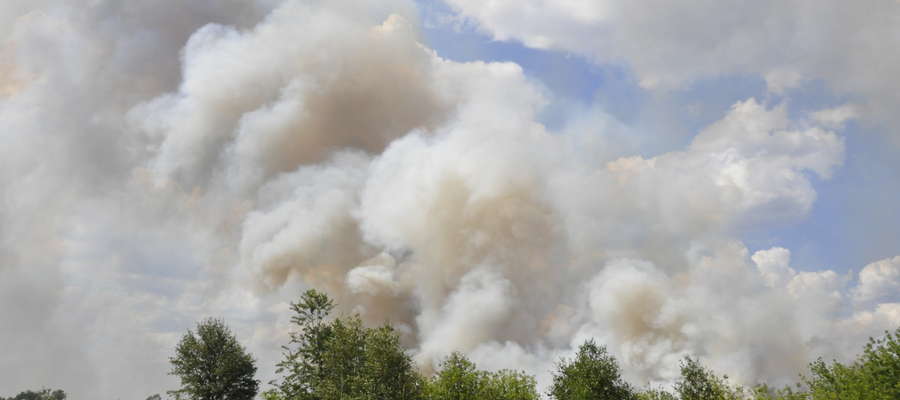 Wypalanie traw może doprowadzić do trudnych do ugaszenia pożarów 