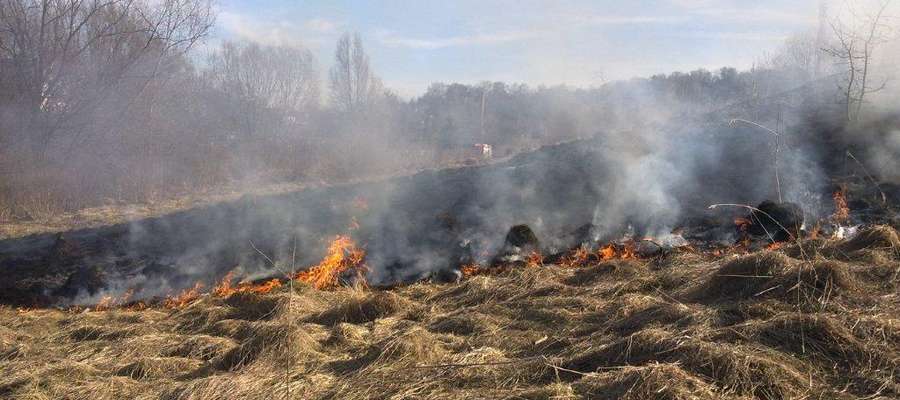 Strażacy walczą z wiosenną plagą pożarów traw