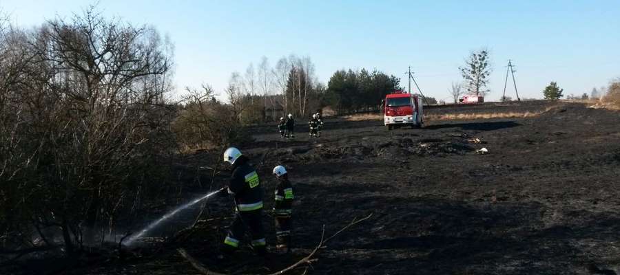 Po około trzech godzinach udało się ugasić pożar, który objął teren o powierzchni około 16 hektarów