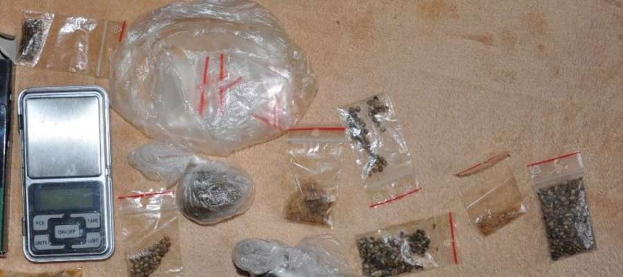 Policjanci szacują, że przez ponad rok nielegalnej działalności podejrzani mogli wprowadzić do obrotu kilka kilogramów narkotyków.