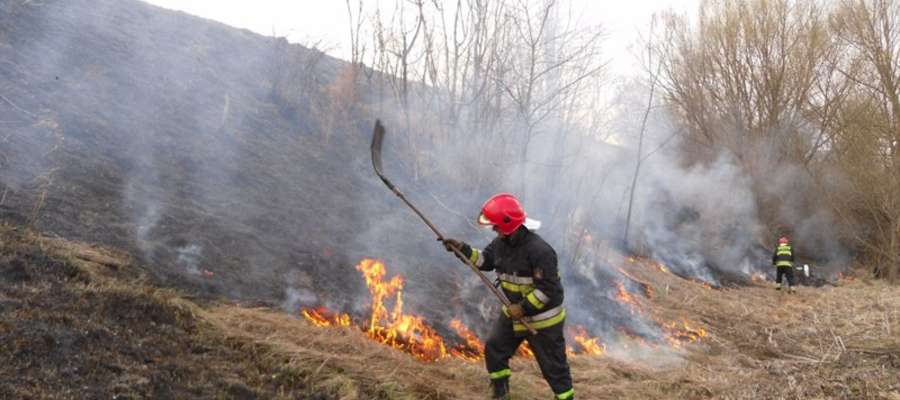 Wiosną strażacy często wyjeżdżają do pożarów na nieużytkach / ilustracja do treści