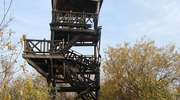 Odbudują spaloną wieżę widokową w rezerwacie Druzno  . Podpalacze skazani i mają zapłacić