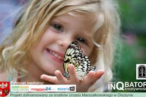 Ekologiczne warsztaty w świecie prawdziwych motyli