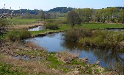 Ekologiczna akcja dla naszej rzeki Drwęcy 