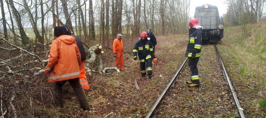 Mrągowscy strażacy zostali także wezwani do usuwania drzewa powalonego przez wiatr na tory kolejowe w okolicach Biskupca
