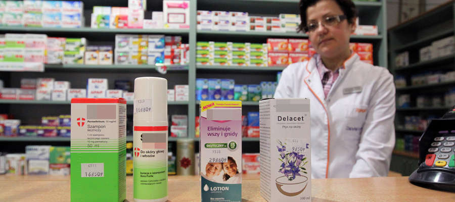 — Ostatnio sprzedajemy coraz więcej specyfików zwalczających wszy — mówi farmaceutka z apteki na Starym Mieście