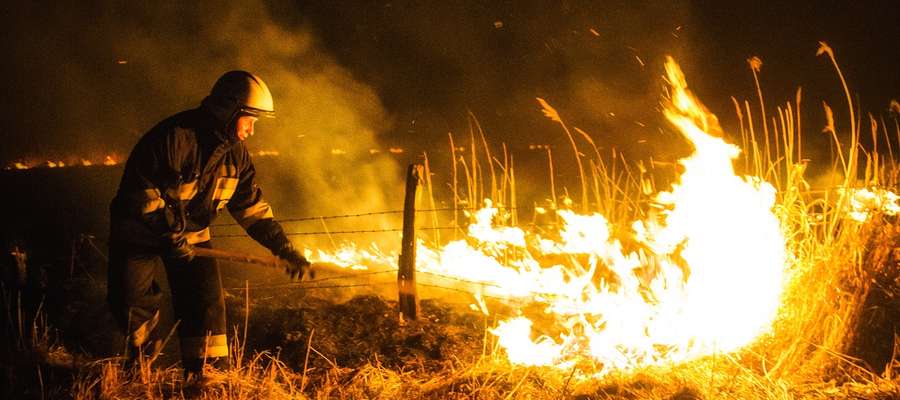 Akcja strażaków w Krzewsku trwała pięć godzin / Zdjęcie jest tylko ilustracją do tesktu