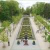 Miejski park wypięknieje - ponad 60 tysięcy wydadzą na nowe drzewa