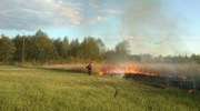 Pożar trzcinowiska w Orzyszu