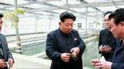 Kim Dzong Un niezadowolony z poziomu krajowej produkcji homarów
