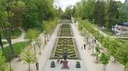 Miejski park wypięknieje - ponad 60 tysięcy wydadzą na nowe drzewa