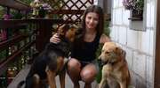 Zostań wolontariuszem - psy w Napierkach czekają na Twoje dobre serce