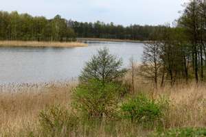 Jezioro Fręckie