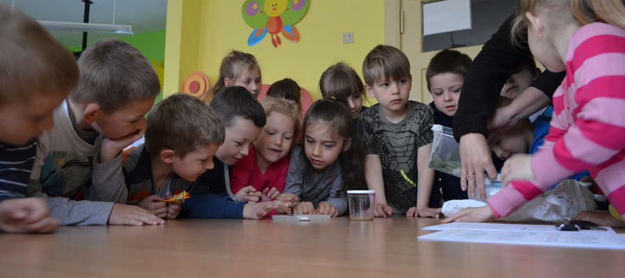 Uczniowie Zespołu Szkół w Marcinkowie jako pierwsi uczestniczyli w ekologicznej lekcji "W świecie motyli"