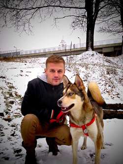 W Olsztynie na Zatorzu zaginął pies rasy husky
