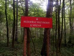 Rezerwat przyrody Mszar w Olsztynie