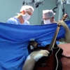 Grał na gitarze podczas operacji własnego mózgu