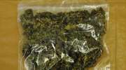 Policjanci przejęli 50 gramów marihuany
