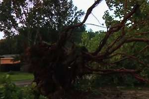 Zniszczone domy i powalone drzewa to efekt gwałtownych burz