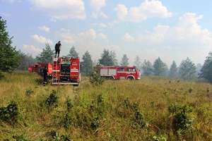 Ostrożnie w lesie! Leśnicy ogłosili trzeci stopień zagrożenia pożarowego 