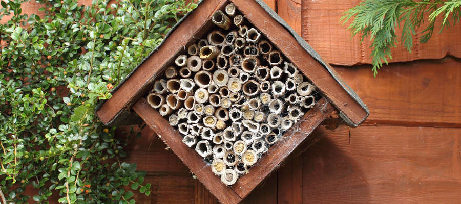 "Domek" dla pszczół