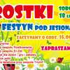 Zabawa pod jesionami