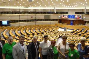 Nowomiejski uniwersytet w Parlamencie Europejskim