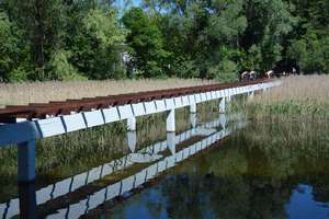 Wznowiono prace na długim moście w Olecku