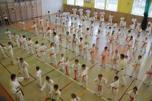 Karatecy zakończyli rok szkoleniowy i zdawali egzamin na wyższe stopnie