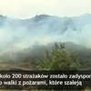Setki strażaków walczą z pożarami lasów w Portugalii. Zginęła jedna osoba