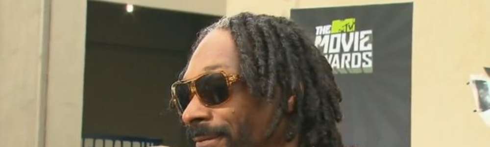 Snoop Dogg miał na lotnisku ponad 422 tys. dolarów. Policja przejęła pieniądze