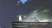 Wariat czy sadysta? Próbował pobić policjanta wymachując... psem