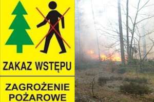 Zakaz wstępu do lasów w Nadleśnictwie Myszyniec i Ostrołęka