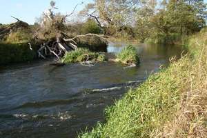 W rzece Omulew utonął 48-letni mężczyzna 